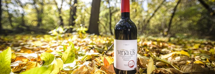 Villányi Franc 2018